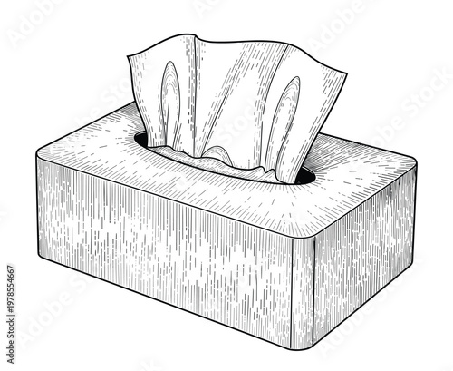 Vector box of facial tissues with one tissue pulled out above.