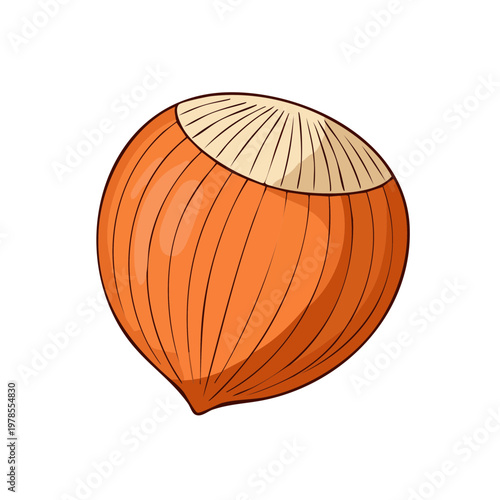 Stylized single hazelnut illustration with warm orange tones and visible husk detail