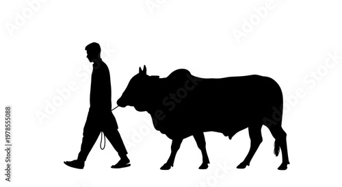 Eid ul Adha Black silhouette, man walking bull, cattle, livestock, farm animal, vector icon isolated on White Background vector