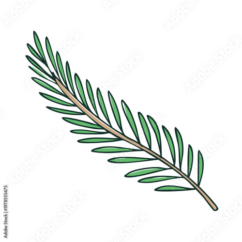 Green coniferous branch with delicate needles and thin brown stem, isolated on white.