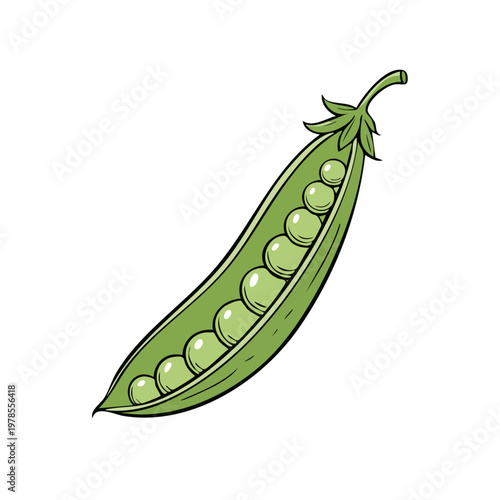 Fresh green pea pod with ripe peas bursting with life and healthy goodness