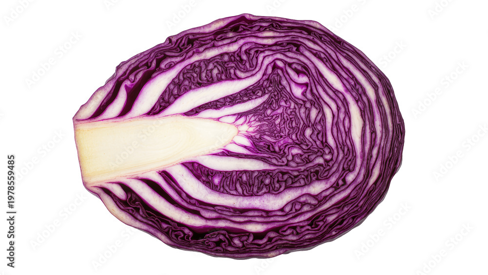 Fototapeta premium Half red cabbage with visible layers and core, isolated on transparent background
