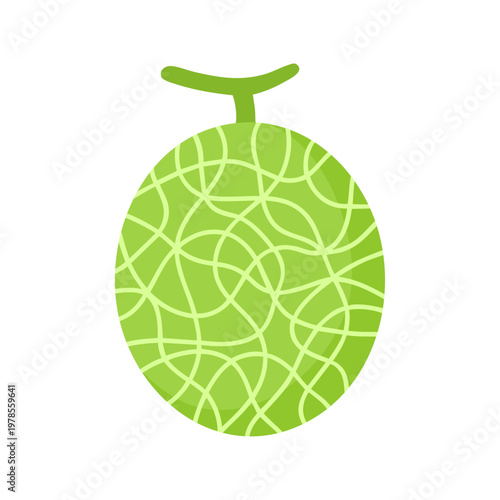 Whole fresh honeydew melon vector illustration on transparent background. Detailed green melon with complex netted rind texture and stem. Healthy organic summer fruit graphics.