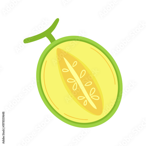 Fresh honeydew melon half cut vector illustration on transparent background. Detailed yellow pulp with seeds and green rind with stem. Healthy organic summer fruit graphics.