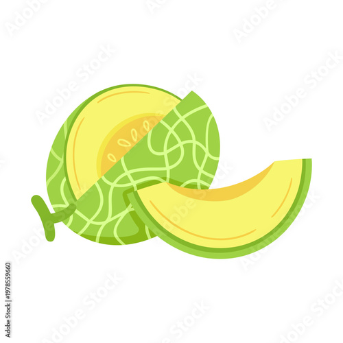 Half cut honeydew melon and fresh slice vector illustration on transparent background. Detailed yellow pulp with seeds and green textured rind. Healthy organic summer fruit graphics.