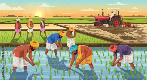 Indian farmers transplanting paddy in a rural field with tractor support, illustrating traditional rice cultivation and mechanized agriculture in village landscape