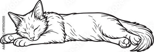 Foto Somali cat sleeping stretched out line art illustration, relaxed Somali cat side