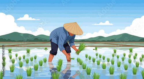 Farmer wearing a conical hat planting rice seedlings in a water-filled paddy field
