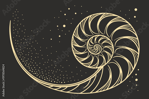 Elegant Nautilus Shell Golden Ratio Spiral Illustration.