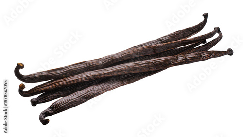 Dark brown dried vanilla bean pods, isolated on transparent background
