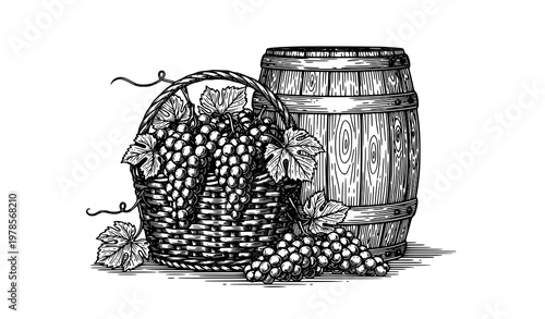Rustic vineyard harvest grapes basket wine barrel vintage vector sketch