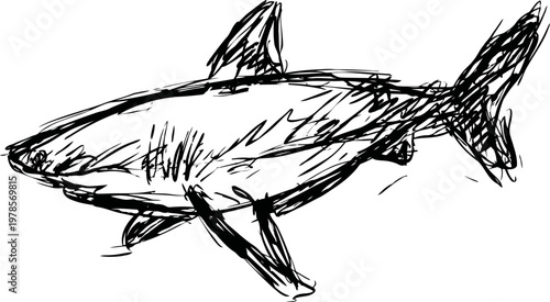 Hand drawn shark sketch black ink line art of great white shark swimming with open mouth