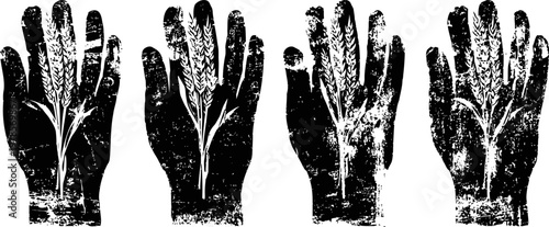 vintage medical illustration of human hand anatomy with detailed palm and finger veins