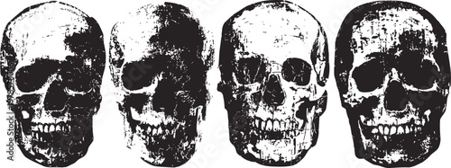 four detailed human skulls in black and white ink illustration