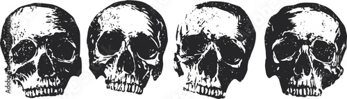four detailed human skull illustrations anatomical cranium views with shading vintage black and white design
