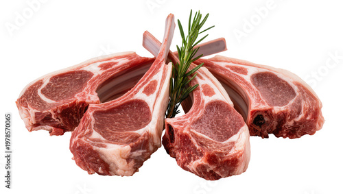 Tableau sur toile Raw lamb chops with rosemary sprig, isolated on transparent background