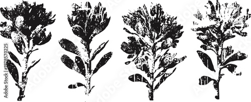 Four black floral silhouettes with leaves and small flowers isolated on white background