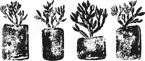 Four different potted succulent plants in textured rustic containers, minimalist botanical decor