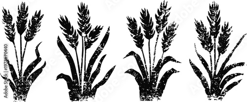 wheat ears silhouette set black grain spikelets with leaves agricultural crop symbol of harvest and farming