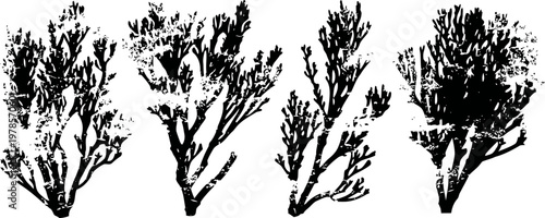 black and white seaweed silhouettes set coastal algae outline collection marine plant vector art
