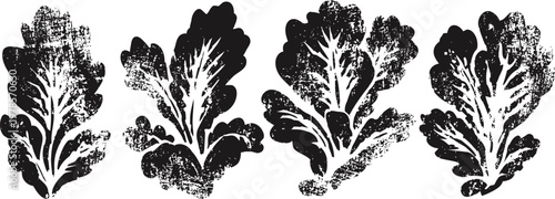 lettuce leaves black ink silhouettes hand drawn salad greens set organic food illustration, fresh vegetable design