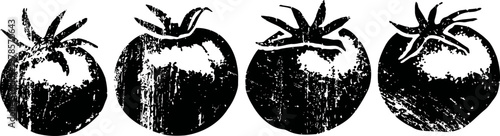 black and white vintage tomato illustrations with textured shading and natural stems