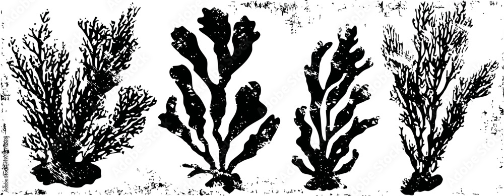 Fototapeta premium Black silhouette illustrations of different types of seaweed and underwater plants