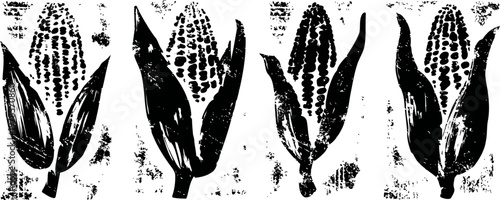 four black and white corn illustrations with husks in vintage ink