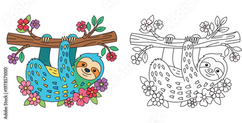 Cute sloth hanging on a tree branch with flowers coloring book page for kids with colored and line art version illustration