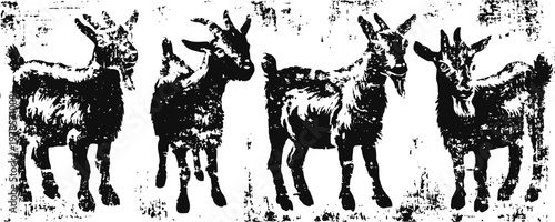 black and white goat silhouette set with rustic textured background farm animals collection