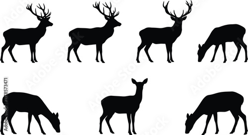A set of black silhouettes of deer in various poses and antler styles on a white background for illustration and graphic design use