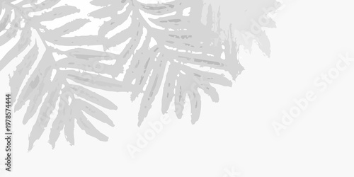 Delicate palm fronds create a minimalist grayscale botanical composition