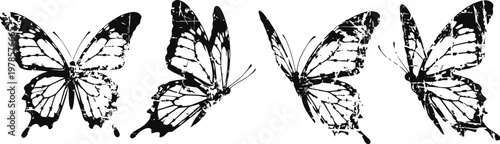 Black butterfly in various flight positions insect wings open and closed, flying nature illustration