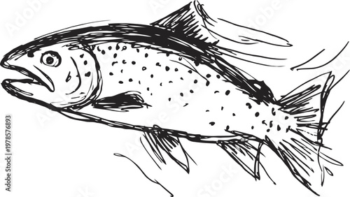 hand drawn fish illustration with detailed scales and fins black and white aquatic sketch, natural marine life drawing