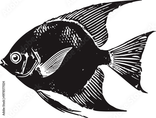 Black angelfish illustration detailed marine fish silhouette with long fins and textured scales on white background
