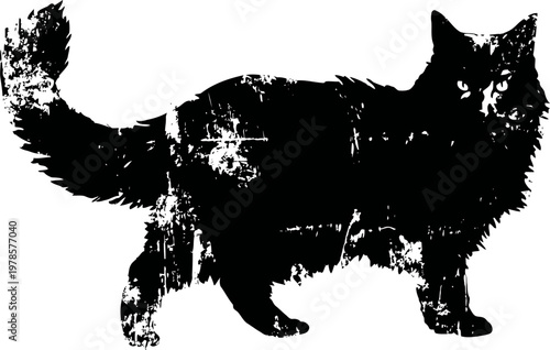 Fluffy black cat standing with bushy tail raised, alert pet animal silhouette