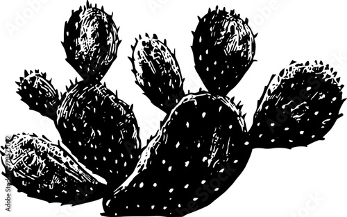 Black ink illustration of prickly pear cactus branches with spines and pads