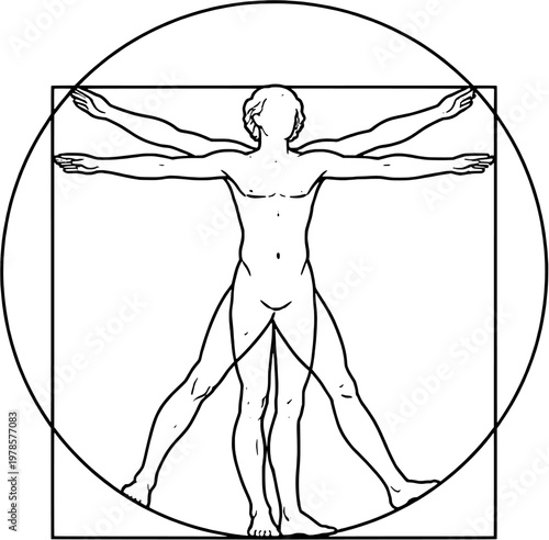 Human Proportions Diagram Outline Figure in Circle and Square Vector