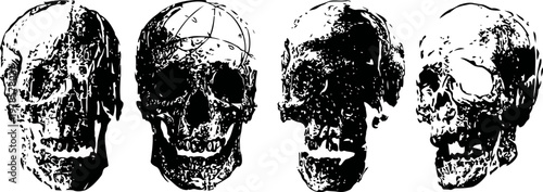 vintage anatomical human skull illustrations showing multiple angles with detailed shading and texture