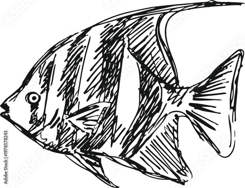 Hand drawn tropical fish illustration with striped pattern, aquatic marine wildlife sketch, underwater creature design