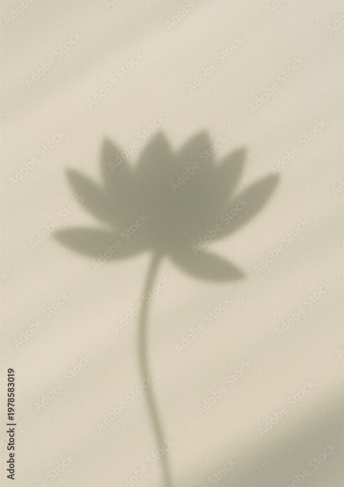 Fototapeta premium Minimalist shadow lotus elegance