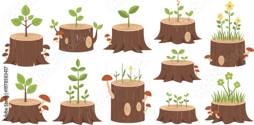 Tree Stump and Plant Growth Collection with Mushrooms and Flowers – Vector Illustration Set