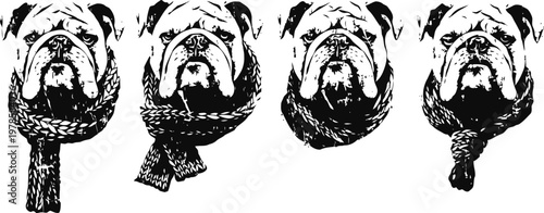 black and white illustration of bulldog heads with patterned scarves in vintage