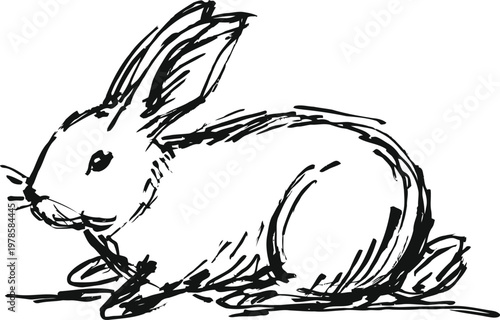 black ink drawing of a sitting rabbit with long ears looking sideways