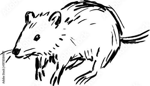 Hand drawn black and white rat sketch simple illustration of small rodent animal with tail and whiskers