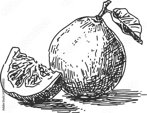 Hand drawn pomegranate with a leaf and a sliced piece, detailed vintage fruit illustration