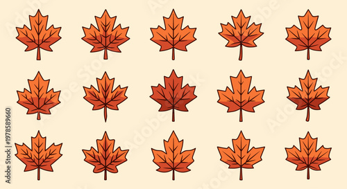 Collection of orange maple leaves.
