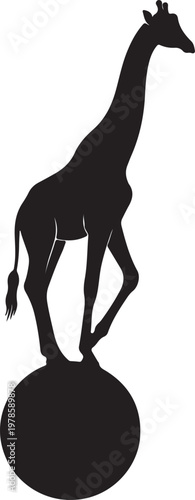 Fotografie Giraffe On Ball Black Silhouette Vector Circus Animal Icon