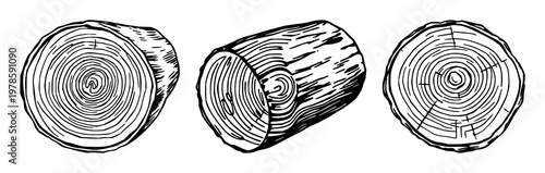 Wood log cross-section set with hand-inked line art on white background featuring wood grain, interior rings, natural texture with illustration and vector