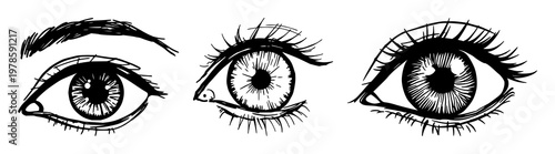 Human eye iris pattern set with rough sketchy art design featuring anatomy, optical, vision with ophthalmology and drawing on white background
